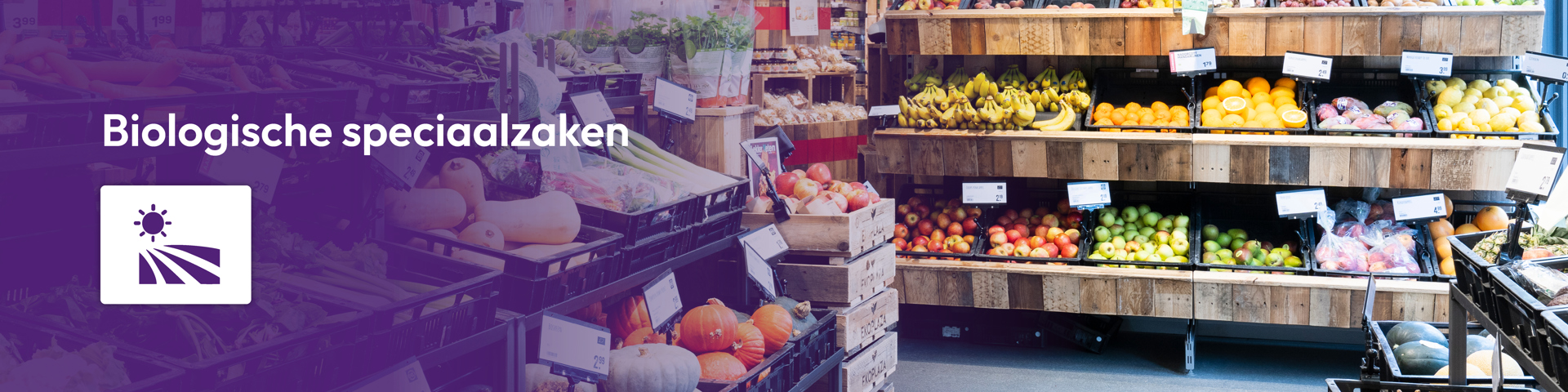 Header VC Branches Umbraco Website 20243