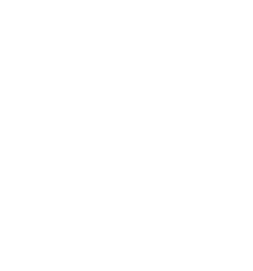 SSk logo wit